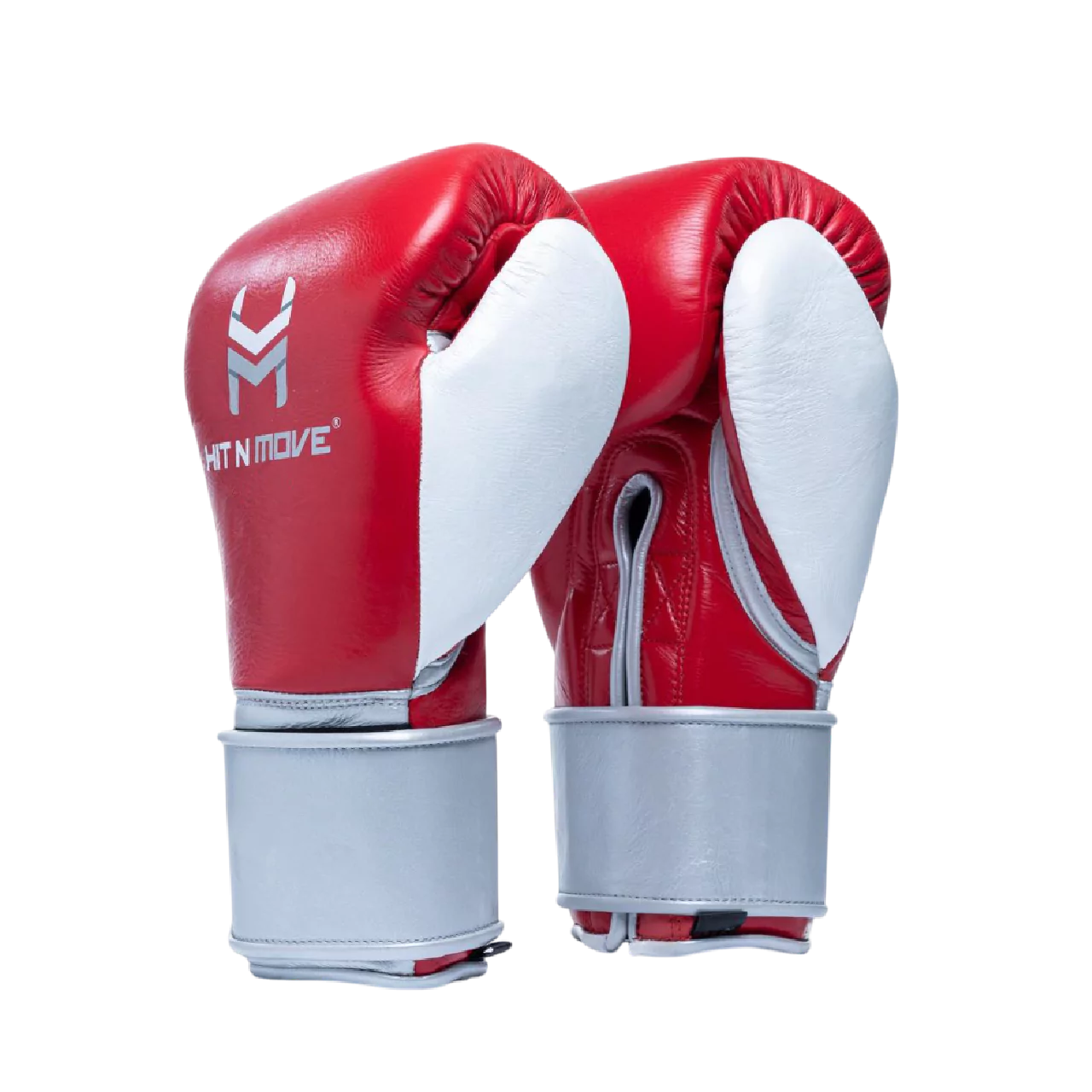 Horse Hair Boxing Gloves (Hook and Loop)