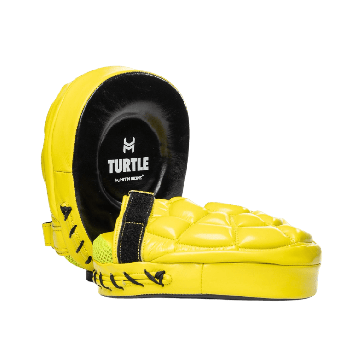 TURTLE®