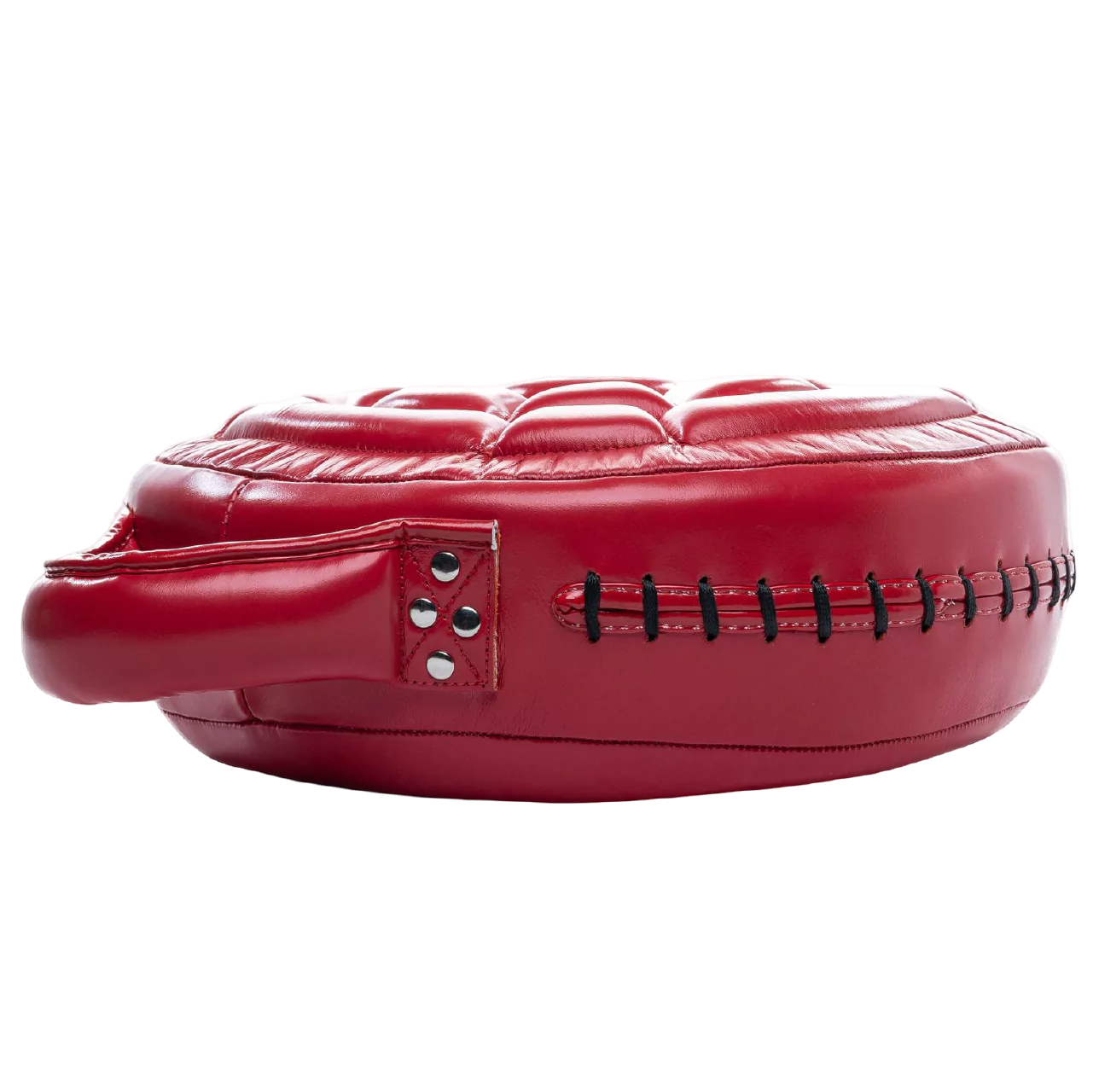 Turtle Shield (With Handles)