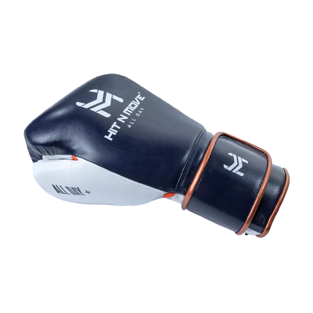 1.5 lbs (24 Oz) Conditioning Gloves (Hook and Loop)