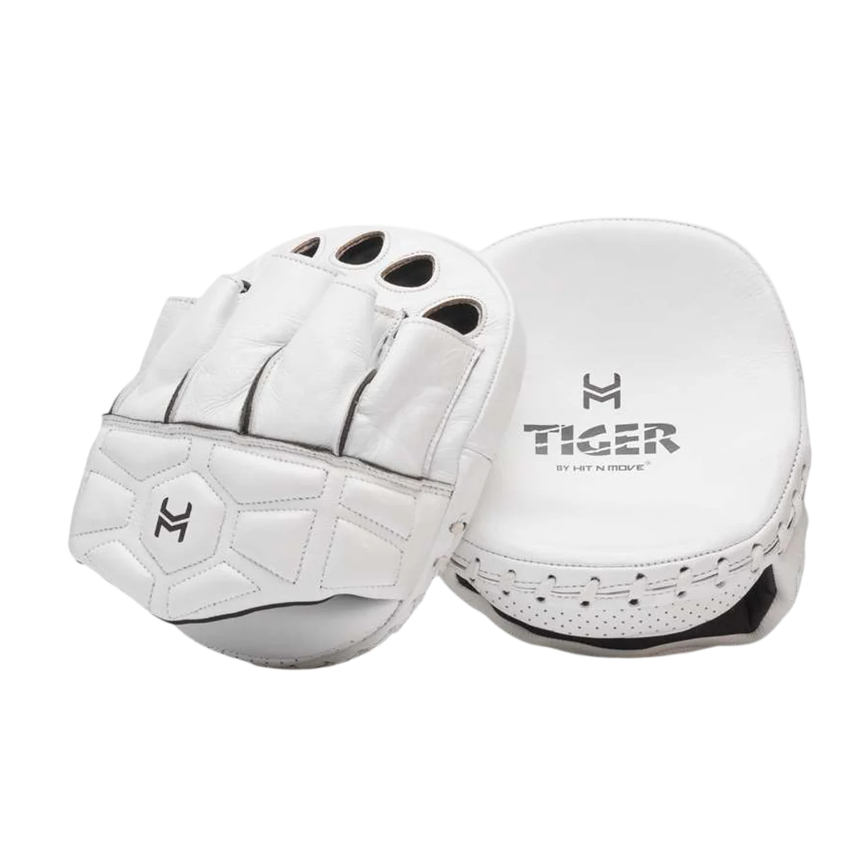Focus mitt Tiger