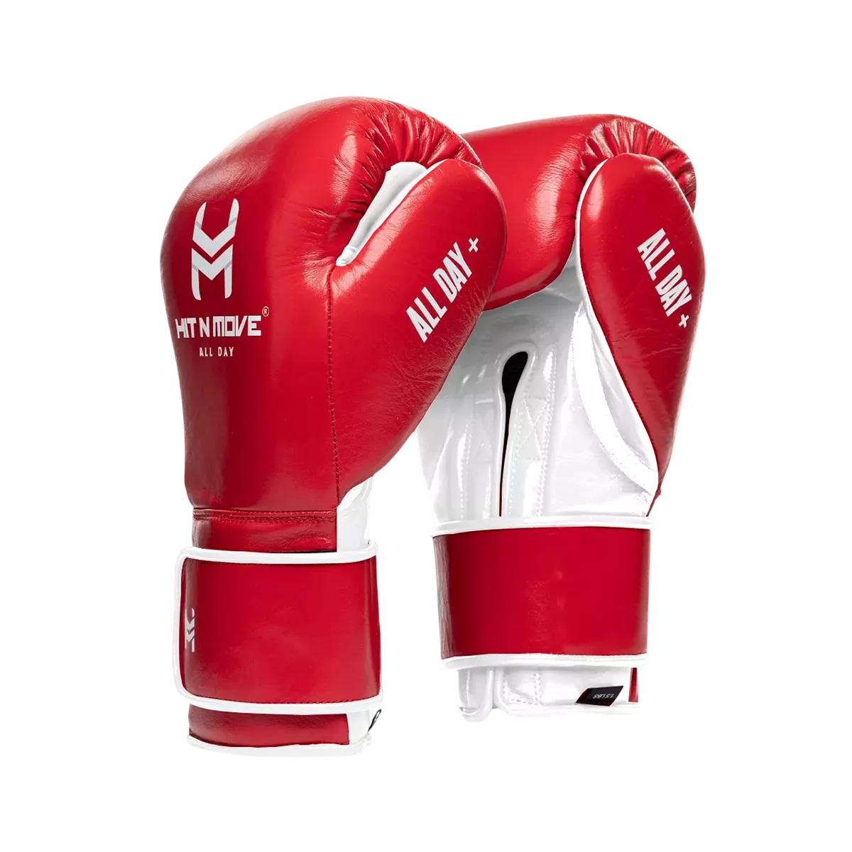 1.5 lbs (24 Oz) Conditioning Gloves (Hook and Loop)