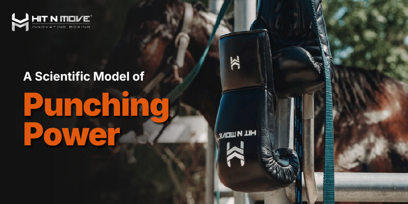 A Scientific Model of Punching Power