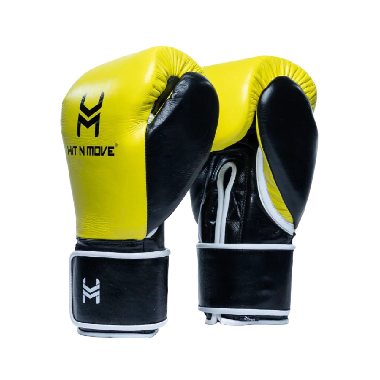 Horse Hair Boxing Gloves (Hook and Loop)