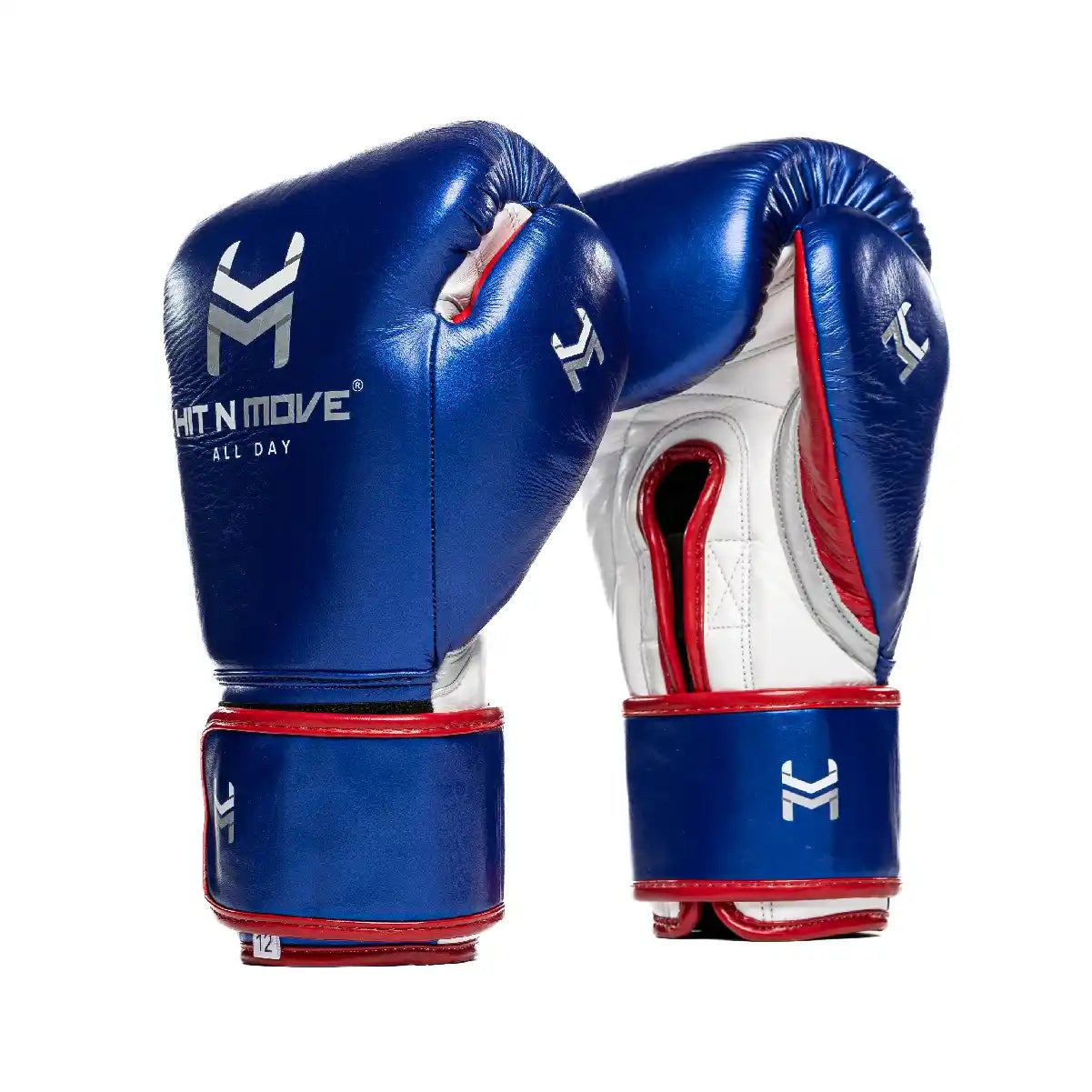 ALL DAY® Pro Agility 14 OZ Boxing Gloves <br>(Hook and Loop)