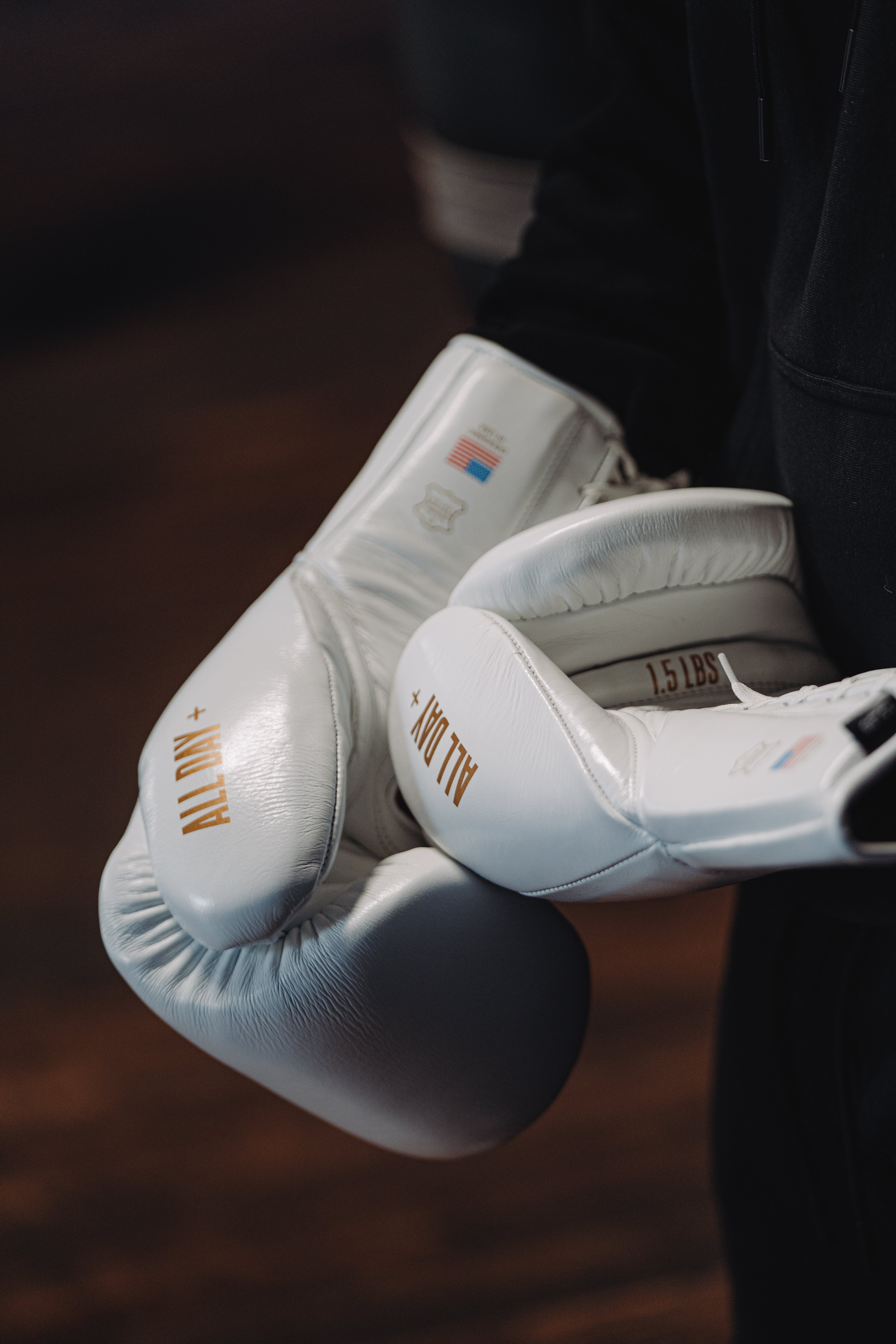 1.5 lbs (24 Oz) Conditioning Gloves