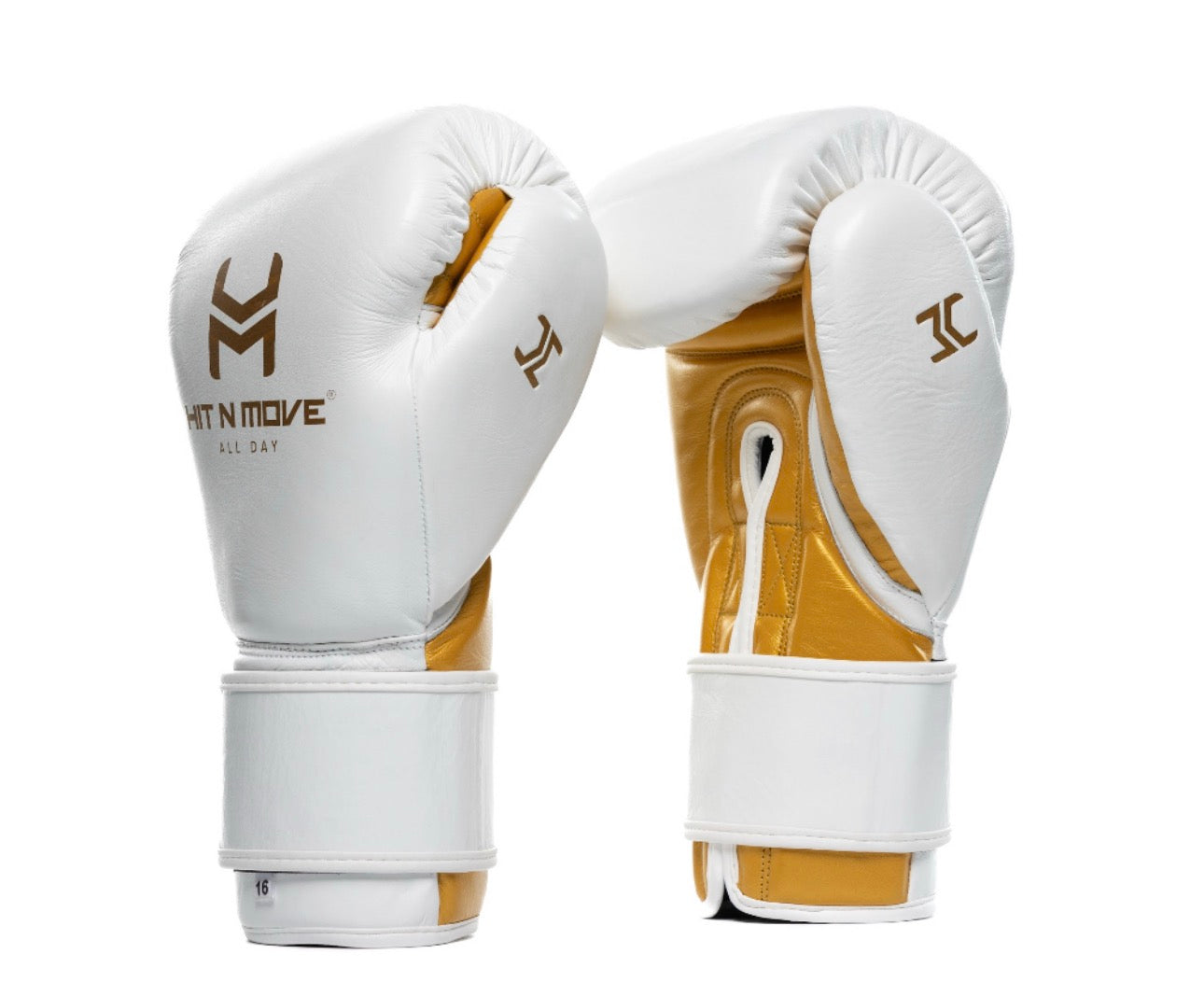 Premium Boxing Gloves Collection | HIT N MOVE