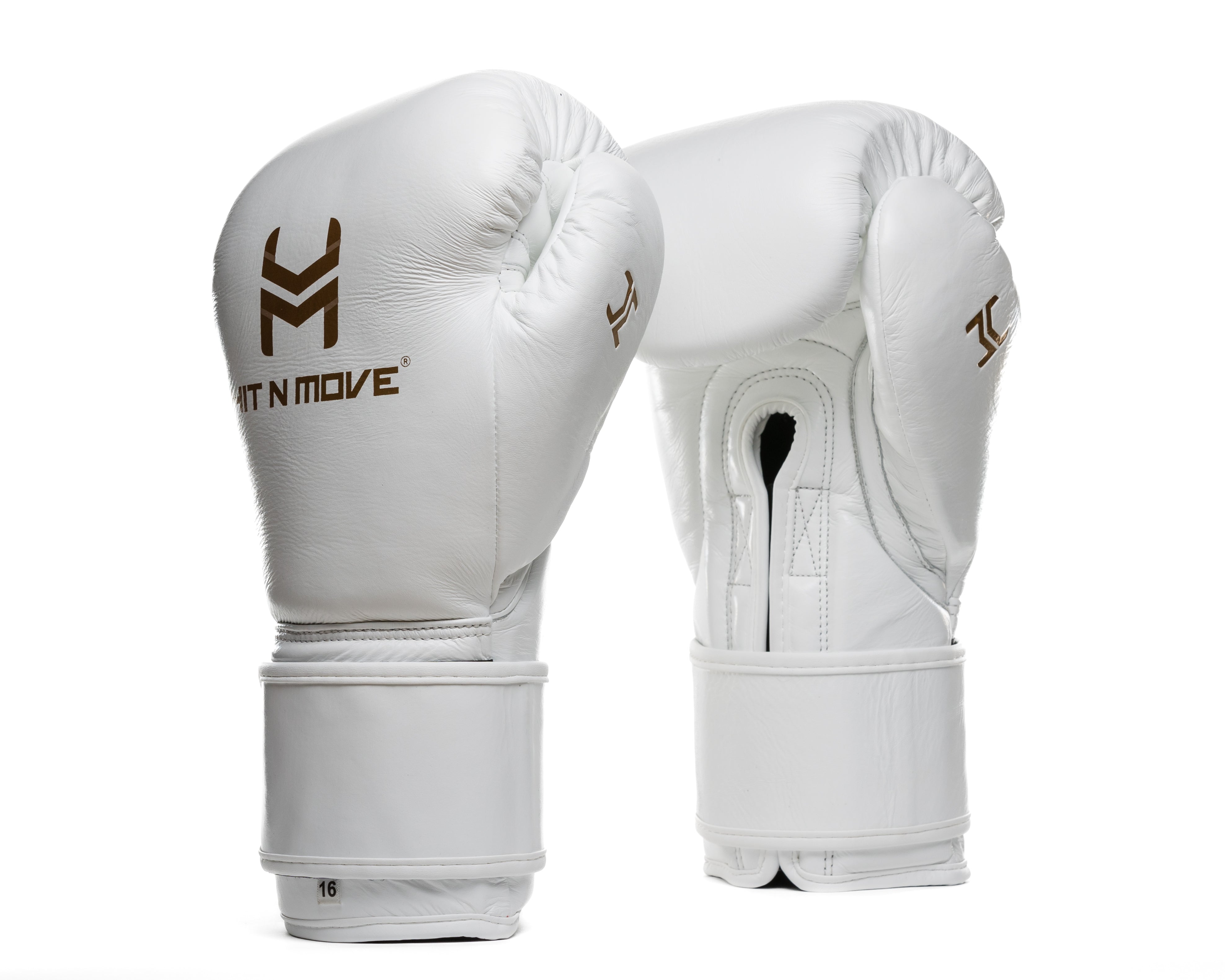 All Day Pro Balance 12 oz Boxing Gloves | Hook & Loop | HIT&MOVE