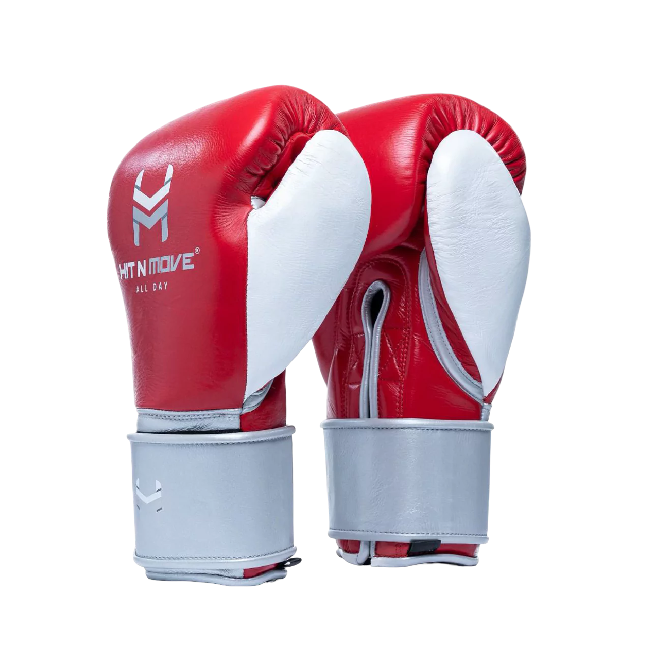 Horse Hair Boxing Gloves (Hook and Loop)