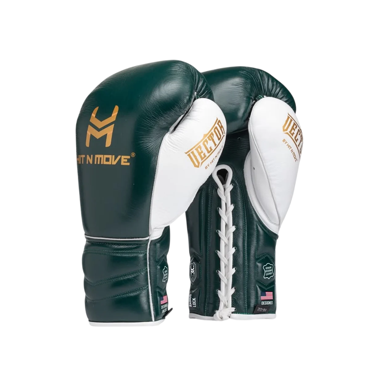 Vector Boxing Gloves