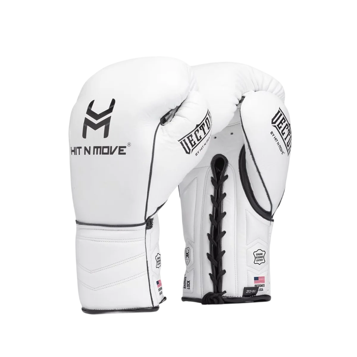 Vector Boxing Gloves